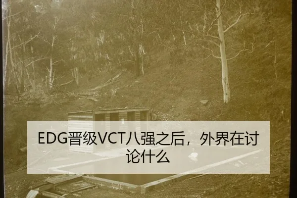 EDG晋级VCT八强之后，外界在讨论什么